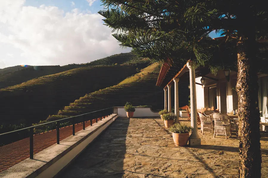 By the late 19th century, the estate was already supplying grapes to Cockburn's for its iconic Vintage Ports.