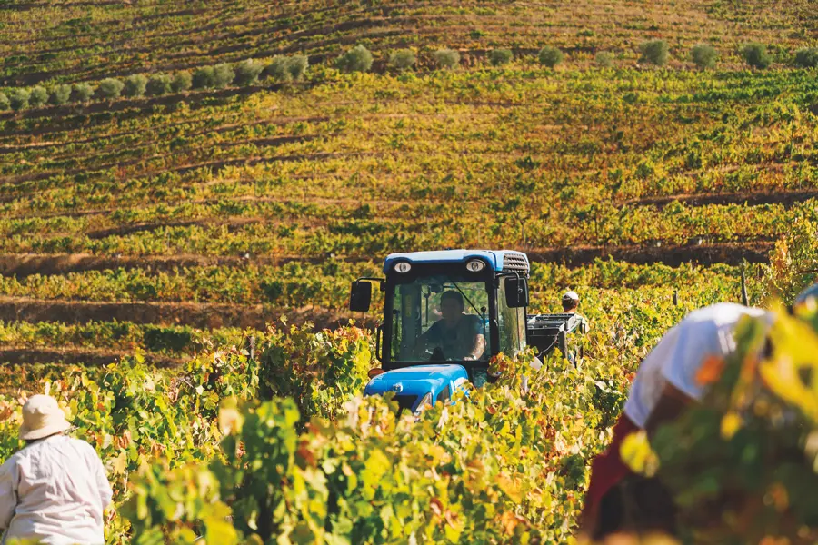 By the late 19th century, the estate was already supplying grapes to Cockburn’s for its iconic Vintage Ports.