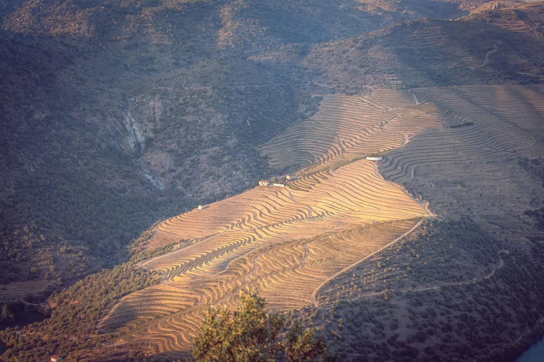 Quinta dos canais